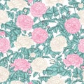 Seamless vector pattern of white and pink bush rose Royalty Free Stock Photo